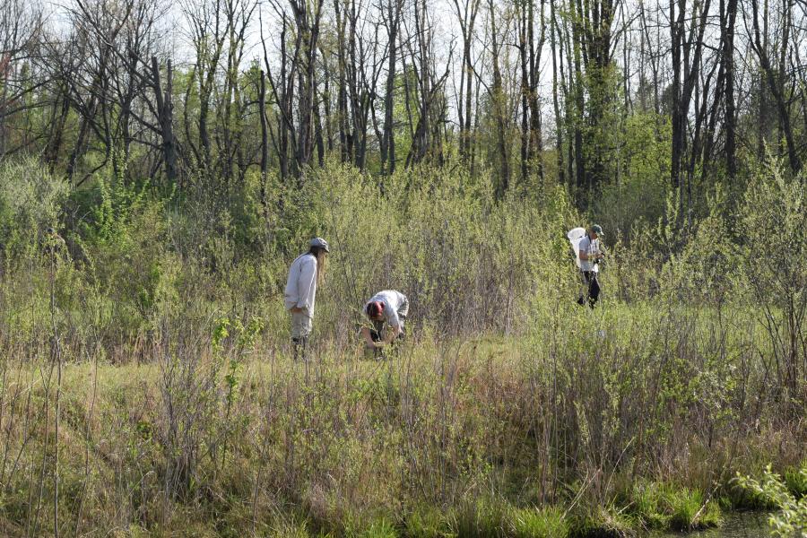 Student researchers explore the Herrick Aquatic Ecology Research Facility (HAERF)