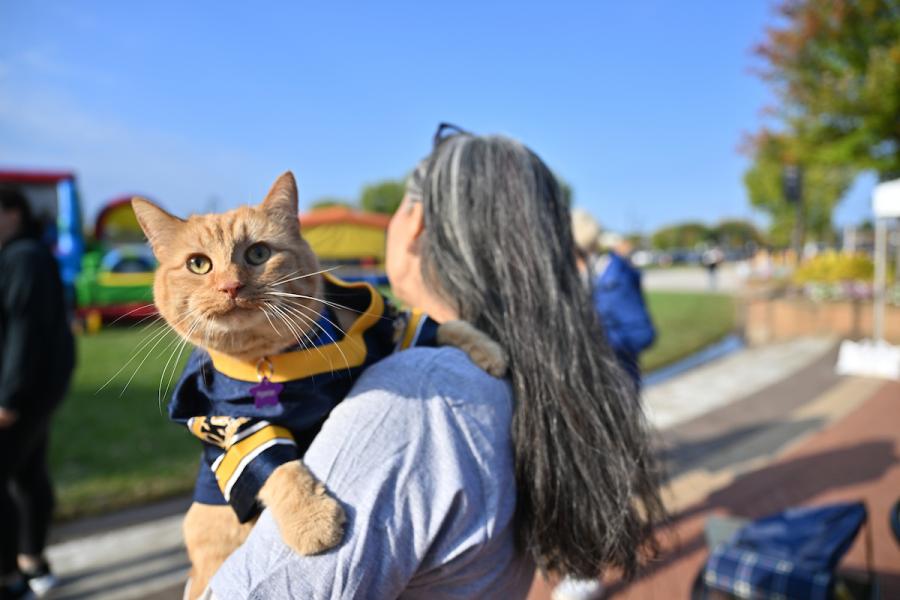 Homecoming 2025. Homecoming 2025.