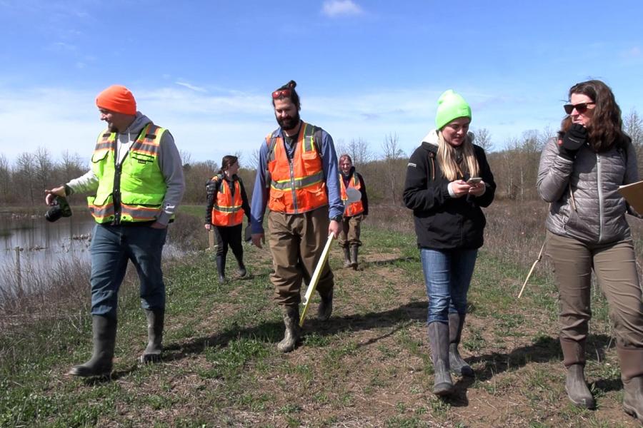 91�ֿ� researchers with S+W team members at Trumbull Creek wetland site