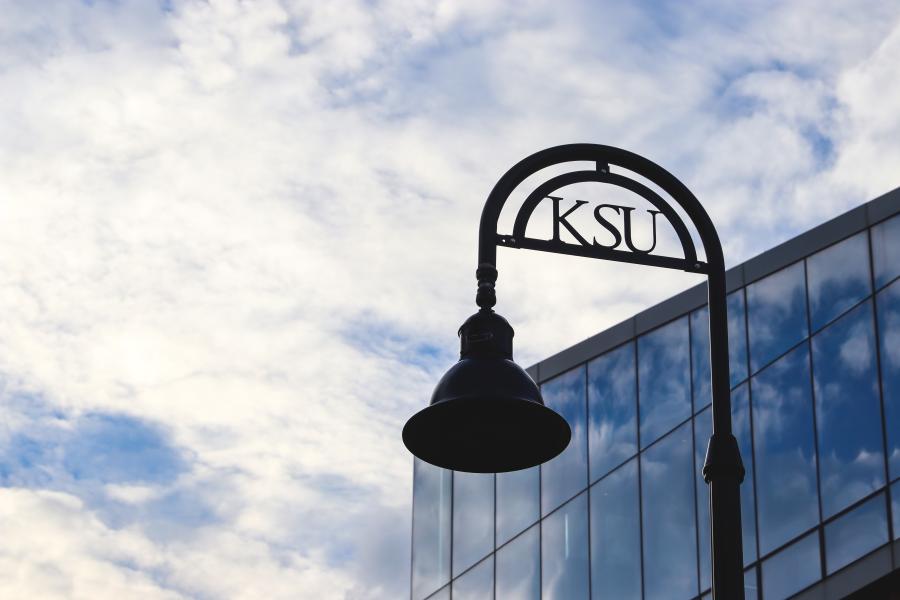 A �鶹����Ƶ State lamp post against a partially cloudy sky