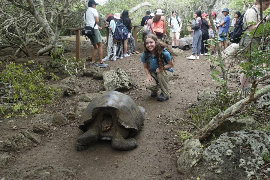 Jami Greb kneeling behind a giant tortoise photographed in the Galápagos Islands during her study abroad experience.