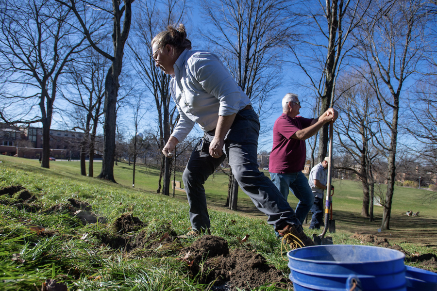 Bekkah Berryhill at the Veteran's Day bulb planting.