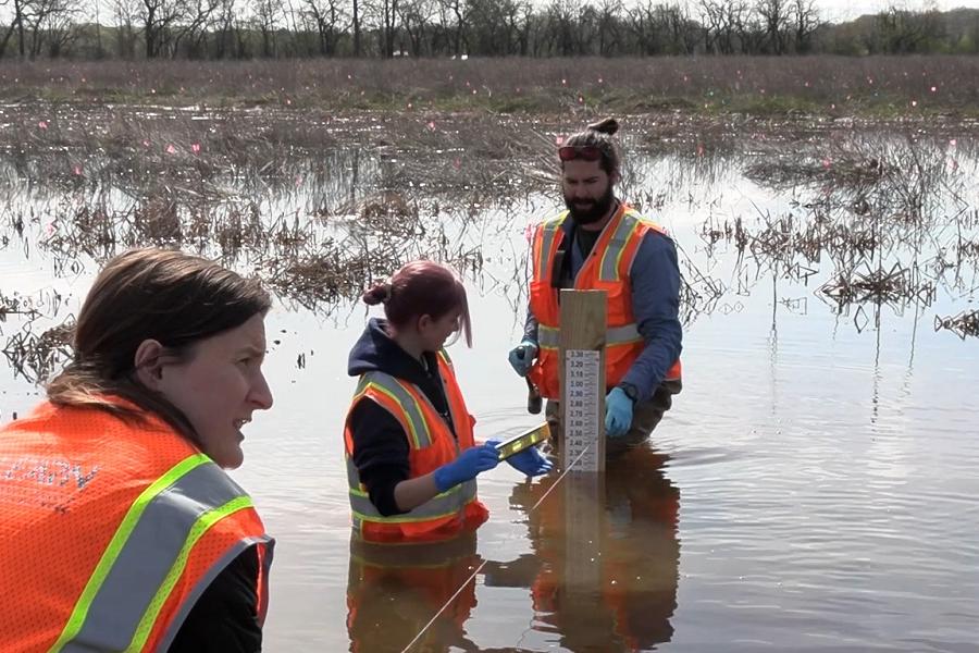 �Ը������� researchers in the water at Trumbull Creek wetland site