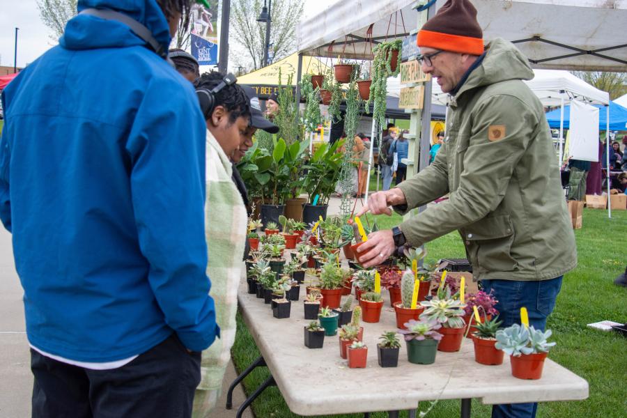 Plant vendor at Farmers' Market on the Student Green Plant vendor at Farmers' Market on the Student Green