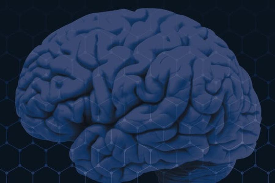 Seventh Annual Neuorscience Research Symposium