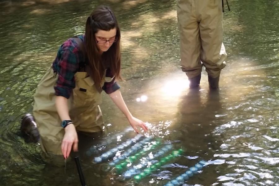 Andrea Fitzgibbon (PhD student) and Nick Johnson (research technician)