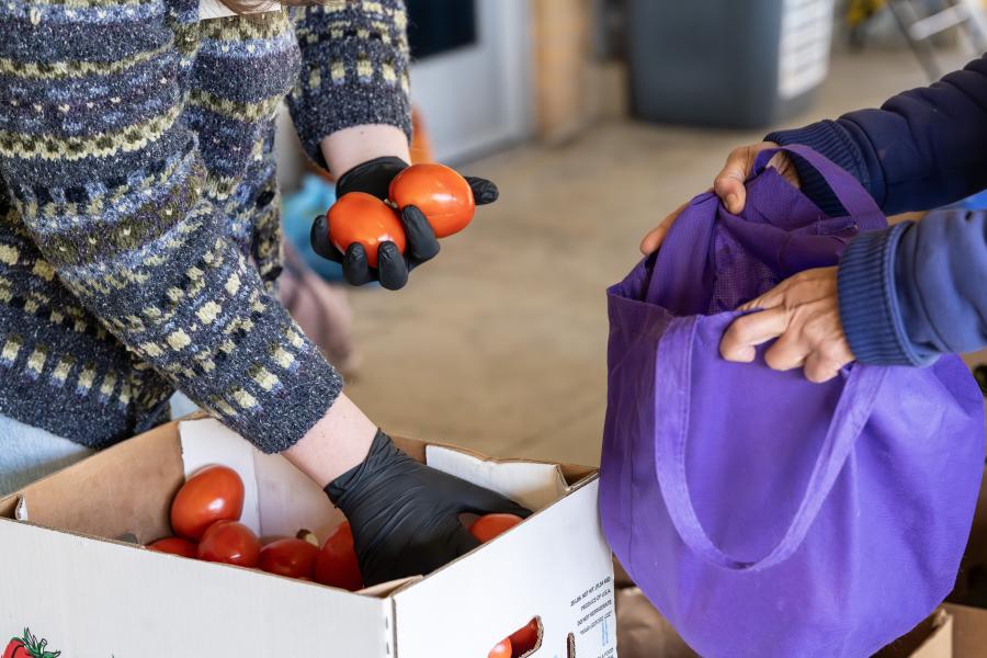 putting fruit in a bag
