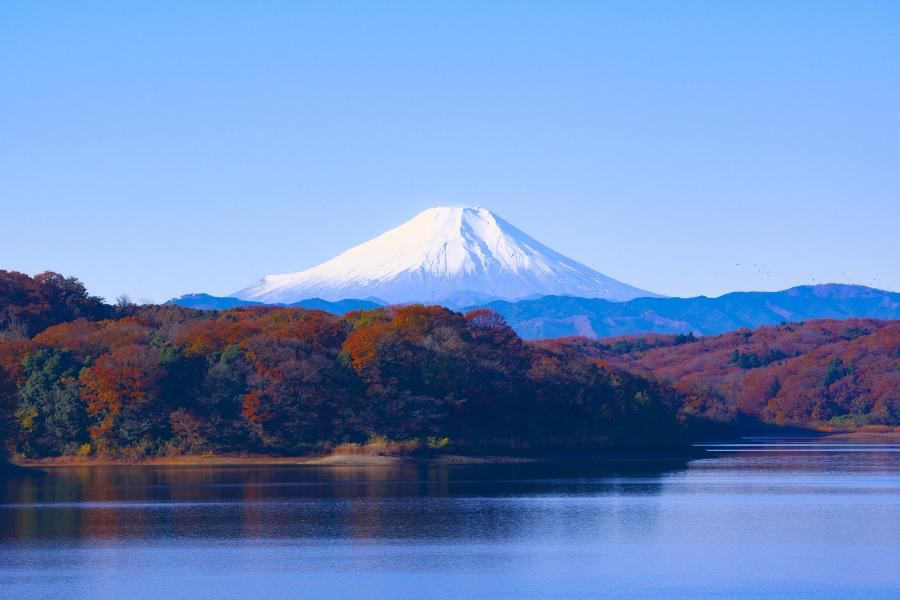 Mount Fuji in fall