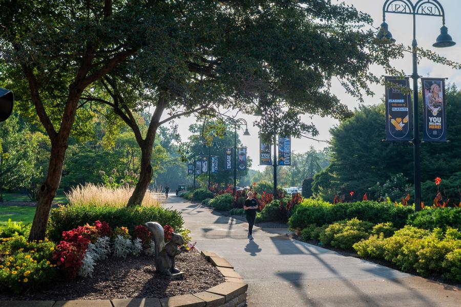 Flowers in bloom on campus.