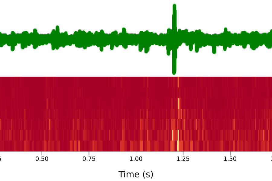 A two-part image of the audio: the simplified sound wave on top and the detailed frequency pattern below, aligned over 450 time steps.