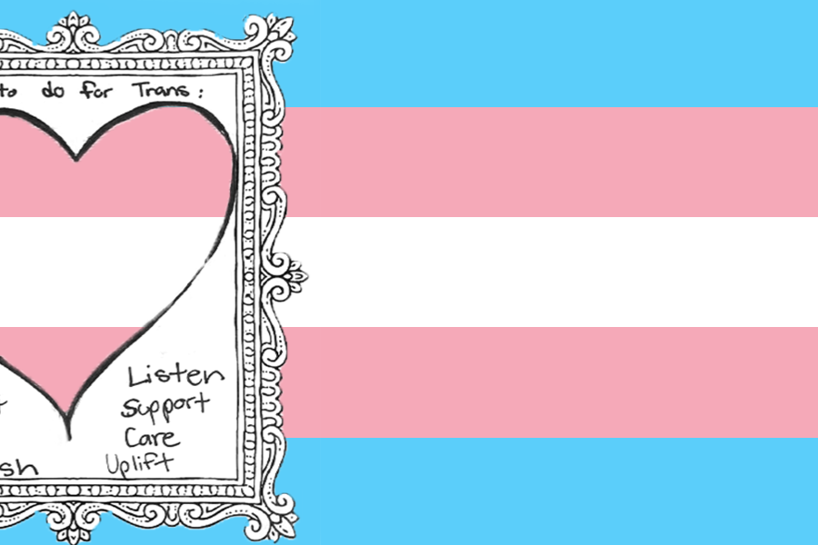 Transgender flag banner Transgender flag banner