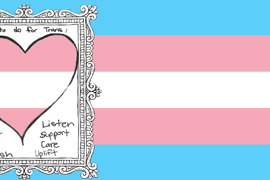 Transgender flag banner