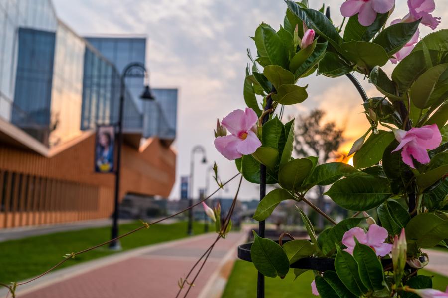 PEAK Youth Camp Banner