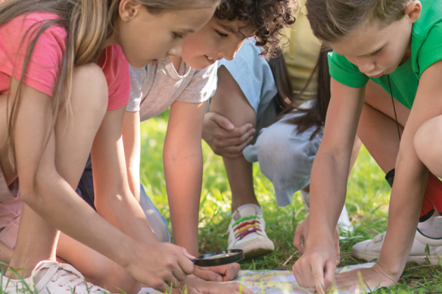 Schools Out Adventures