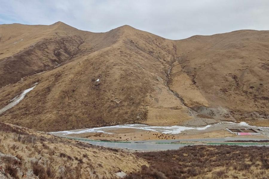 Different Habitat of Tibetan Partridge © Nan Wang