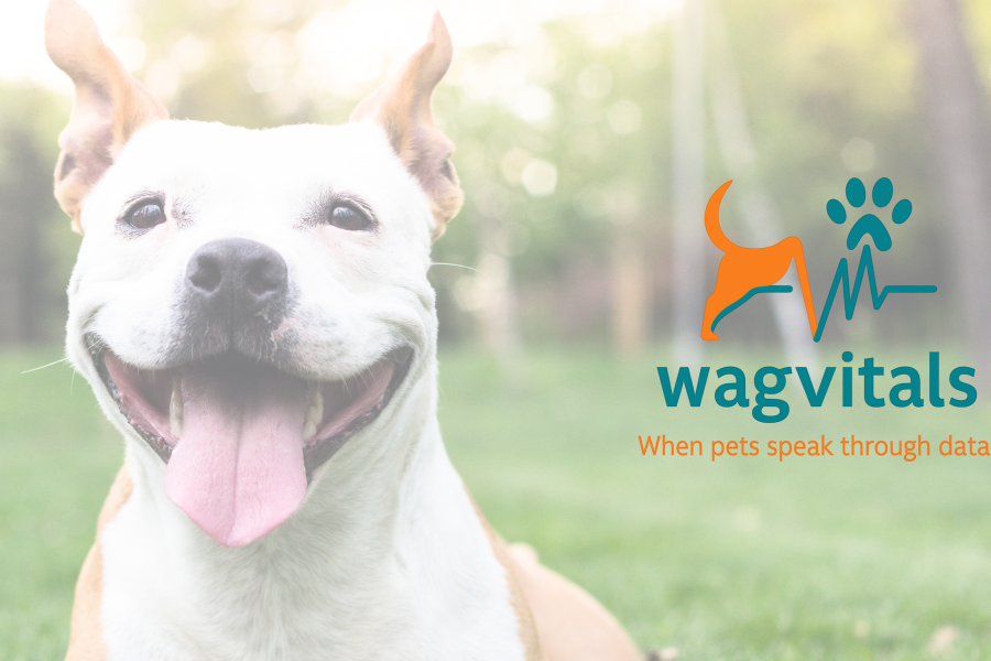 wagvitals logo