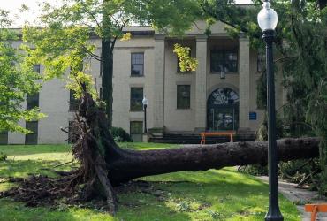 Fallen tree on campus due to storm damage