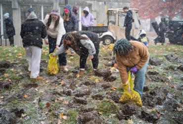 Daffodil Hill planting Veterans Day 2025