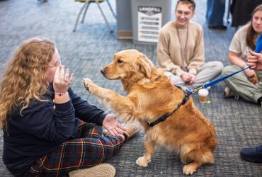 Stress Free Zone Fall 2025