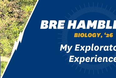 Blog Banner Bre Hambleton