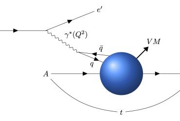 Exclusive Vector Meson production in Electron-Ion Collision