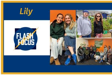 Flash Focus Lily Stenroos header