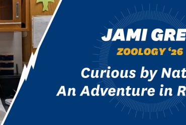 Jami Greb blog banner