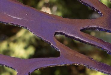 Metamorphasis Banner