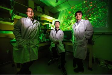 Songping D. Huang (left) and Min-Ho Kim (right) pose with a graduate student in their Kent Campus lab