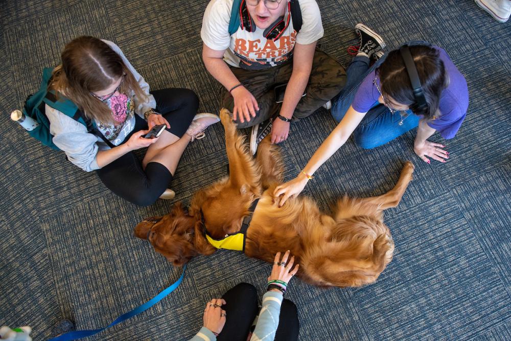 Stress Free at The Library Spring 2023