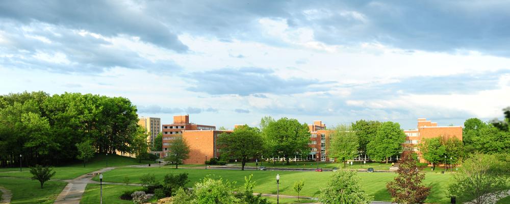 Manchester Field