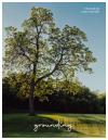 Grounding Film Poster