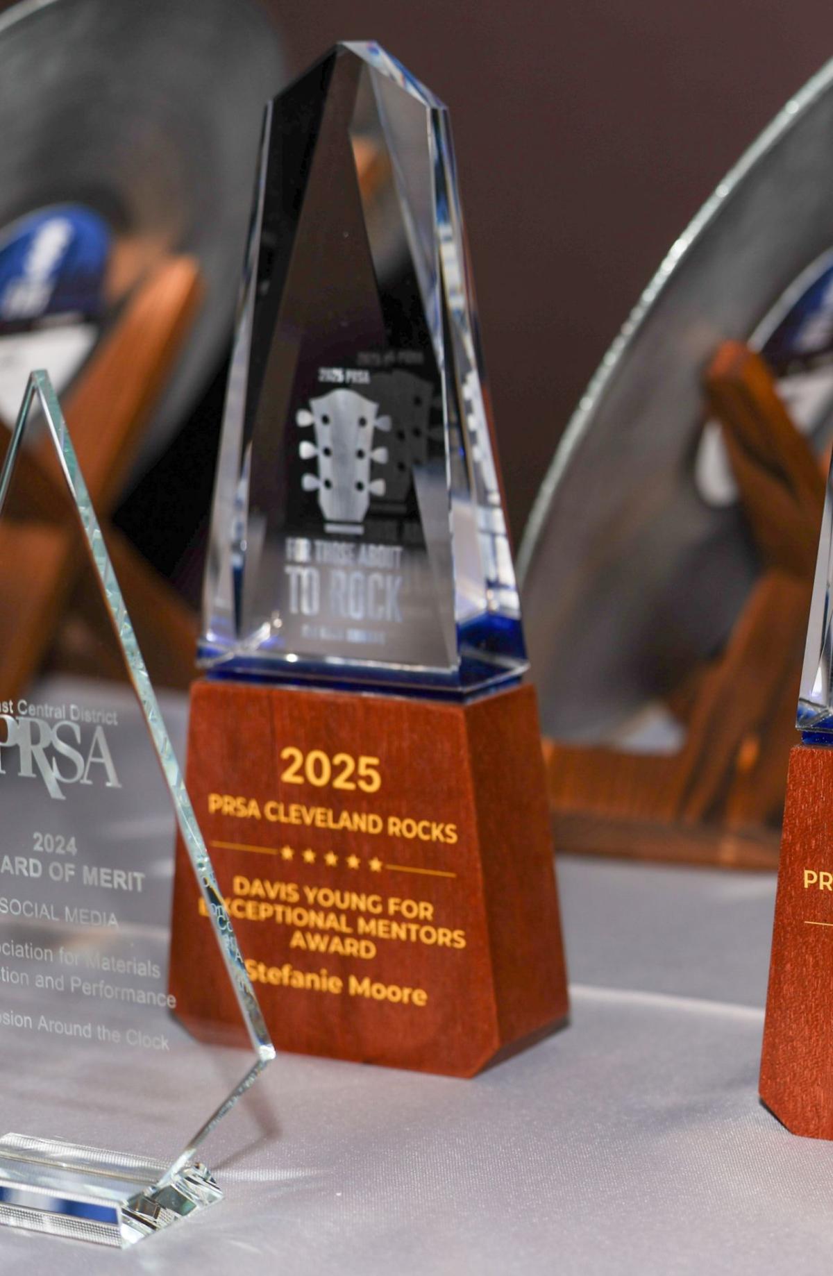 PRSA Davis Young Exceptional Mentors Award