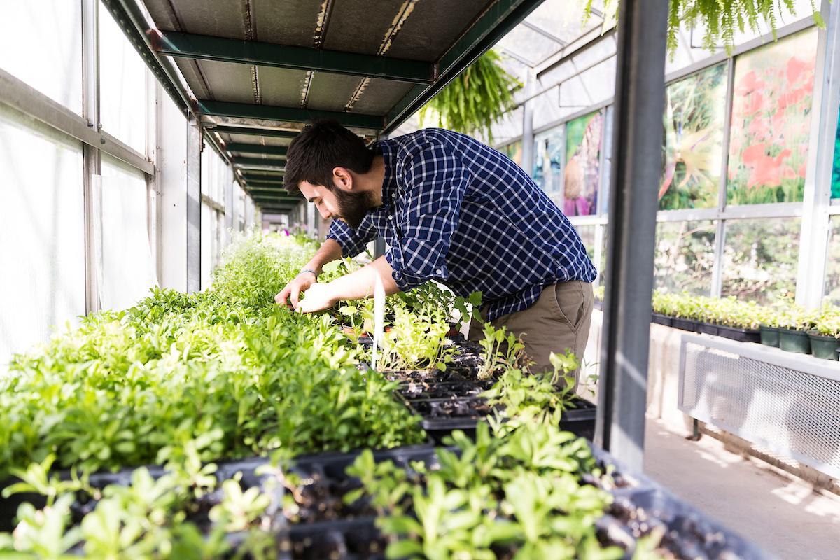 Image of someone working in a botany lab