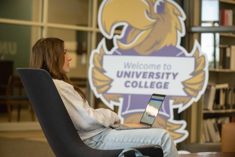 A student sits on her laptop in University College