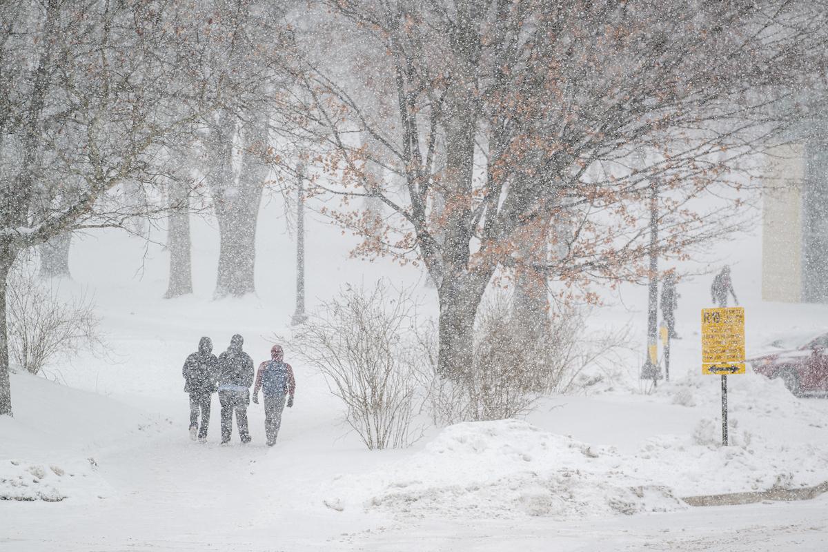 Snow showers 1-16-25