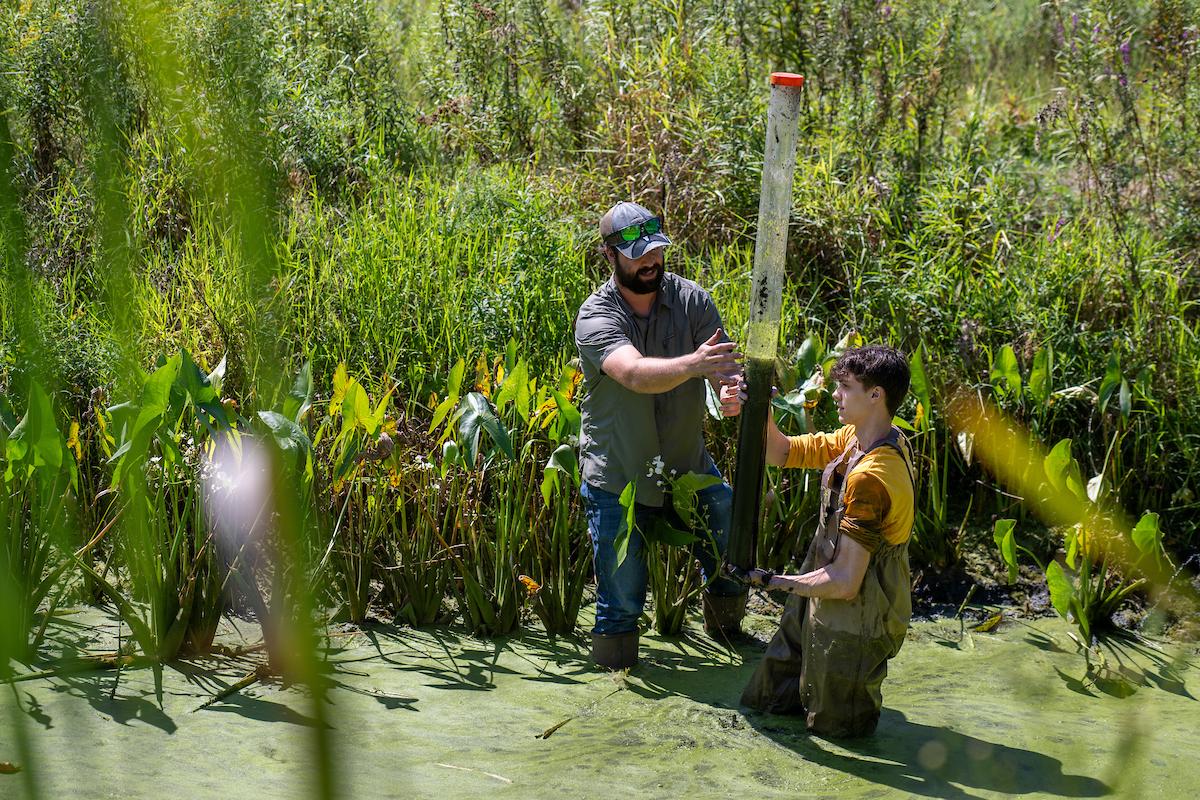 SURE student and faculty researcher collecting sediment samples. SURE student and faculty researcher collecting sediment samples.