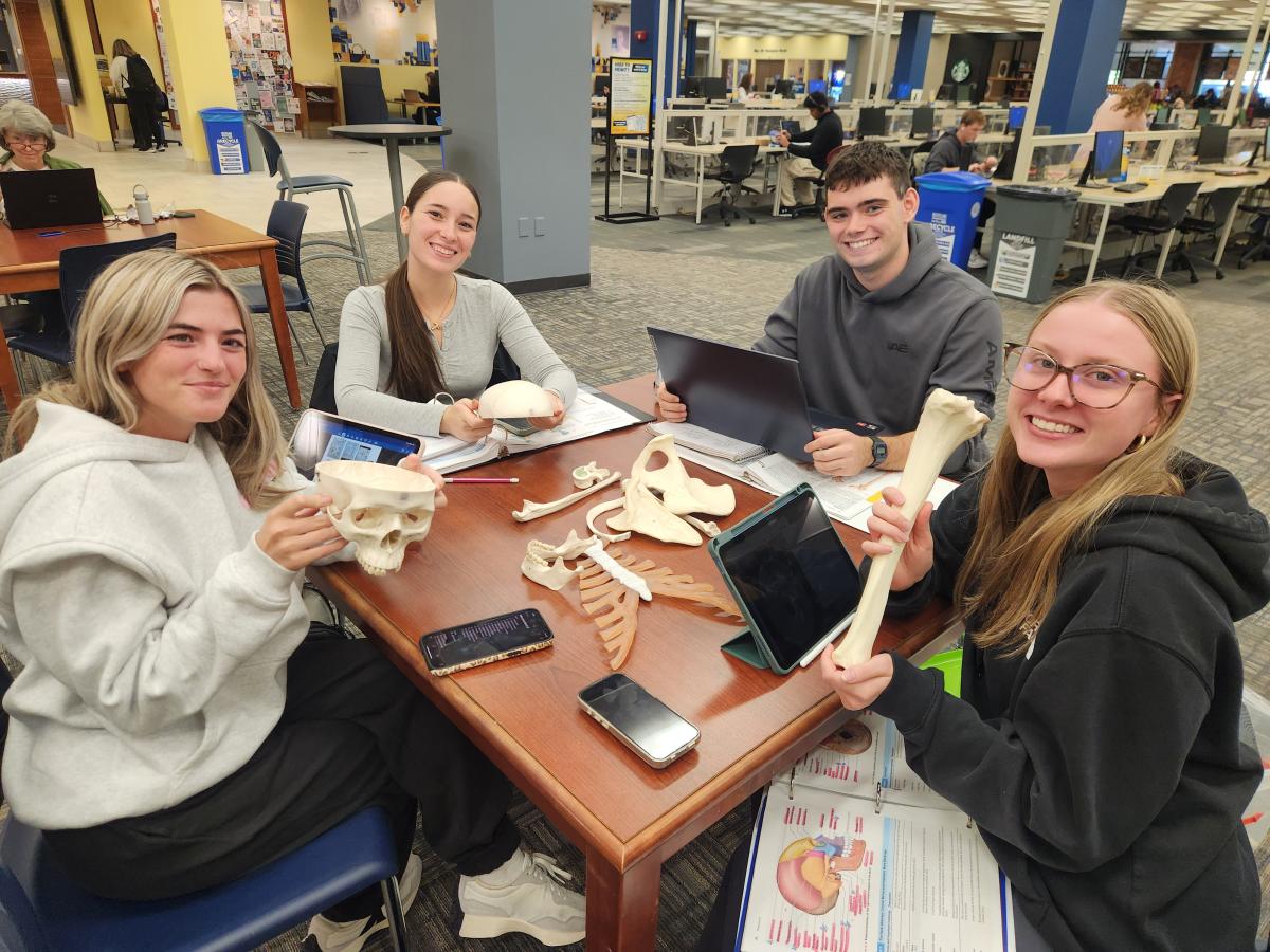 First-year nursing students studying in the University Library. First-year nursing students studying in the University Library.