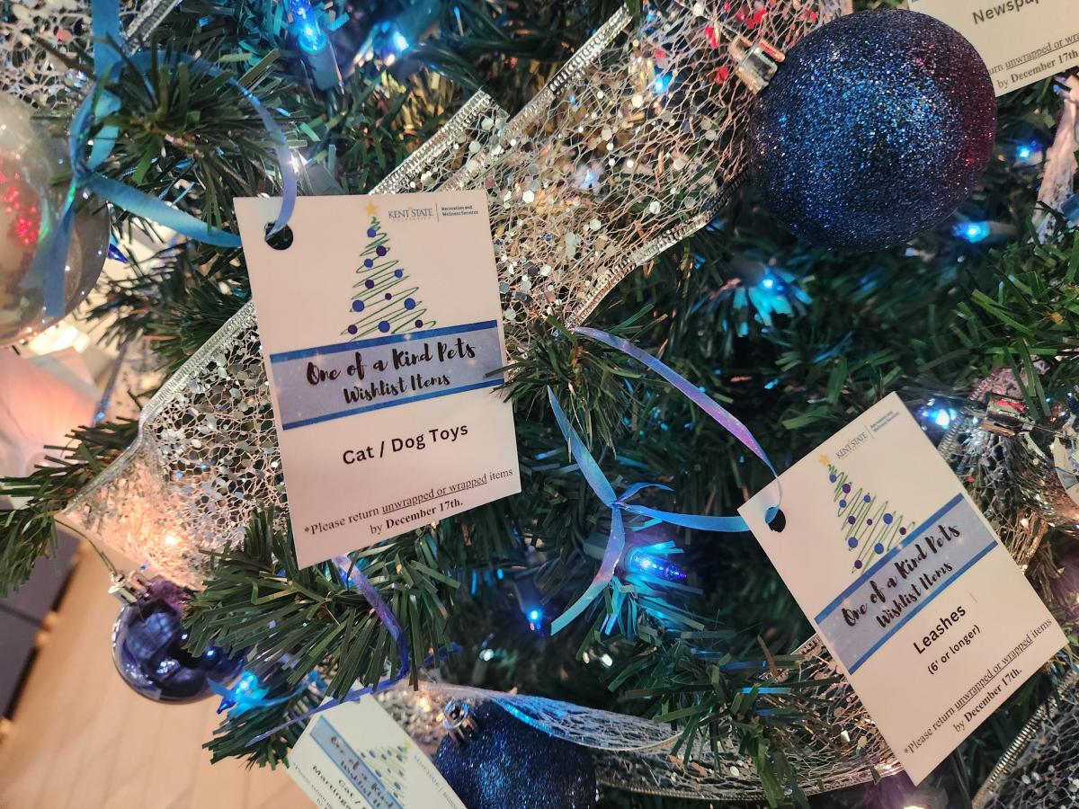 Tags for One-Of-A-Kind Pets