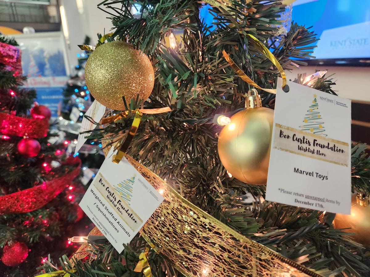 Tags for the Ben Curtis Foundation