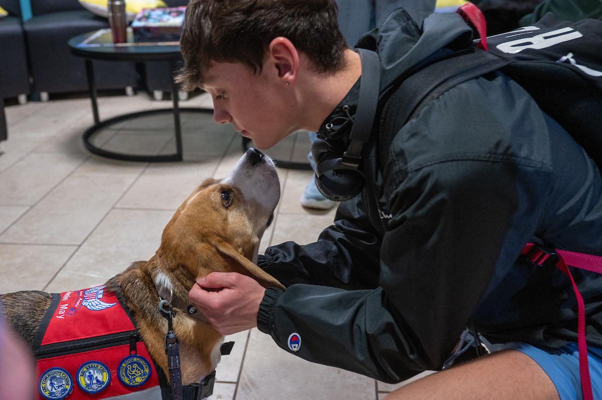 Bob Ross Paint Night.