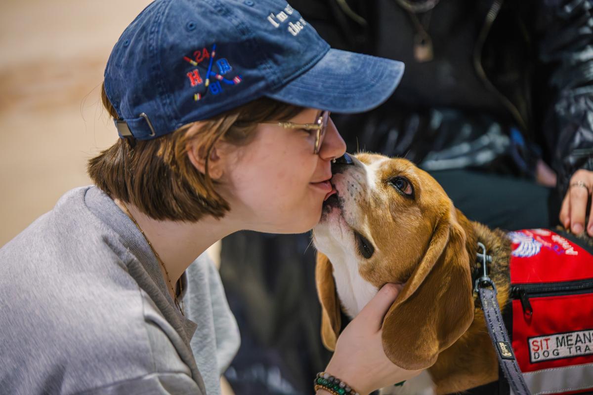 Bob Ross Paint Night.