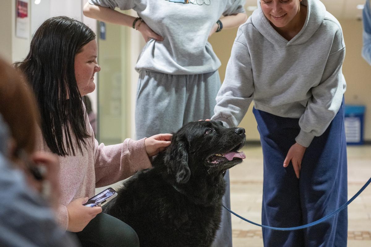 Bob Ross Paint Night.