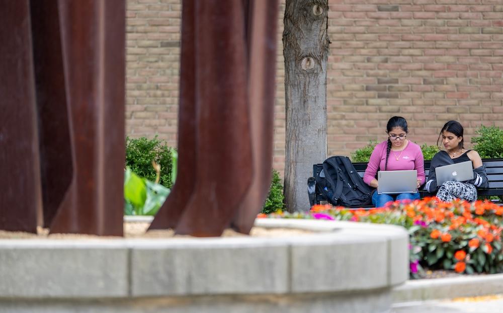 Students on laptops sit outside