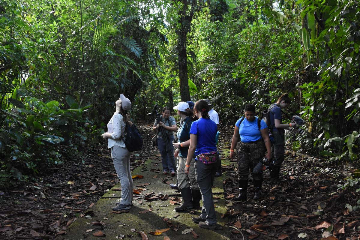 Students doing field research in a forest in Costa Rica