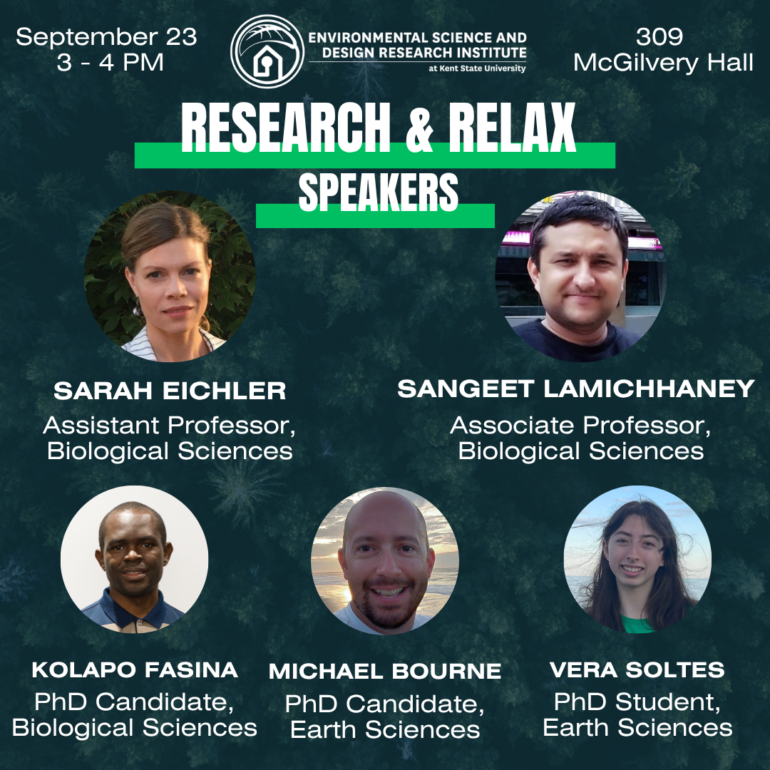 ESDRI Research & Relax research talk event