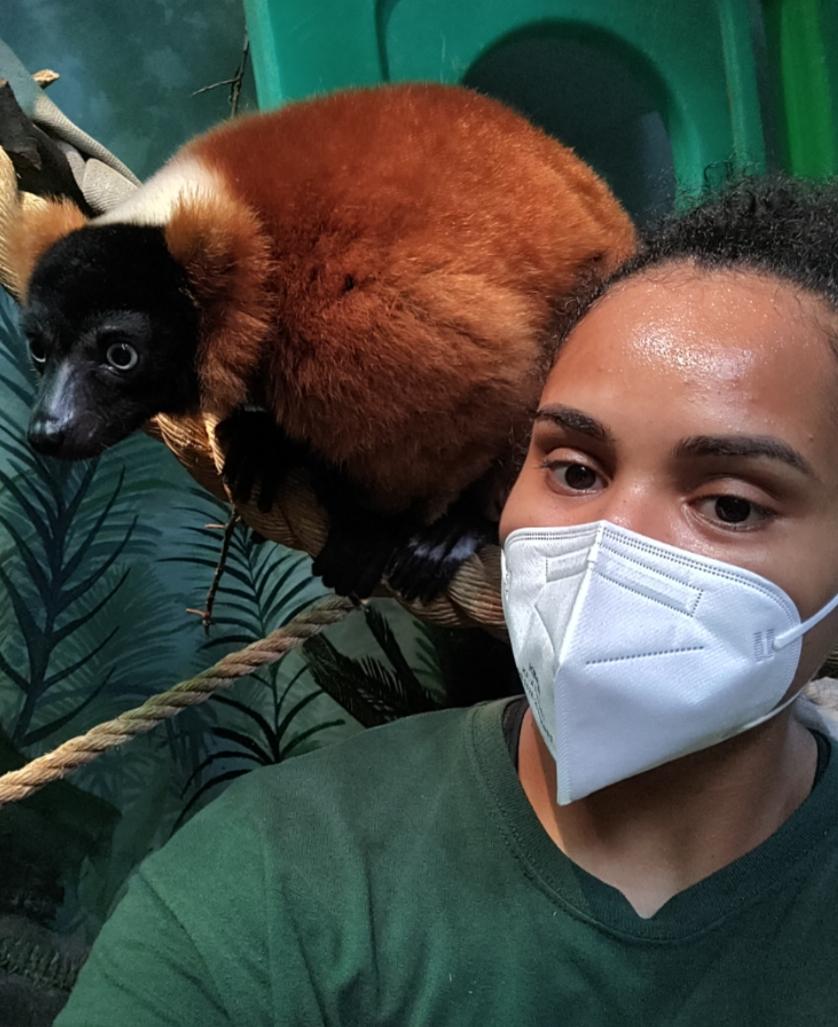 91香蕉视频 alumna Lataisha Jones at work at the Akron Zoo. 91香蕉视频 alumna Lataisha Jones at work at the Akron Zoo.