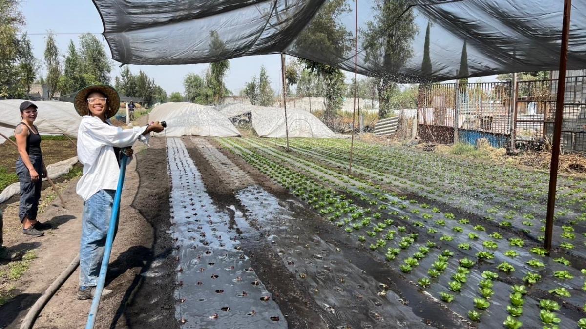 Dae'onii watering plants on the farm