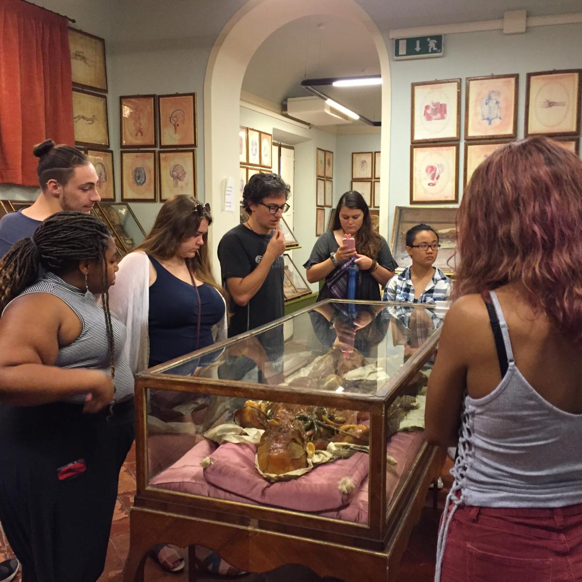 Students looking at a cadaver model in a museum.