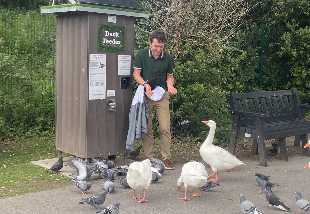 James feeding pigeons and geese.